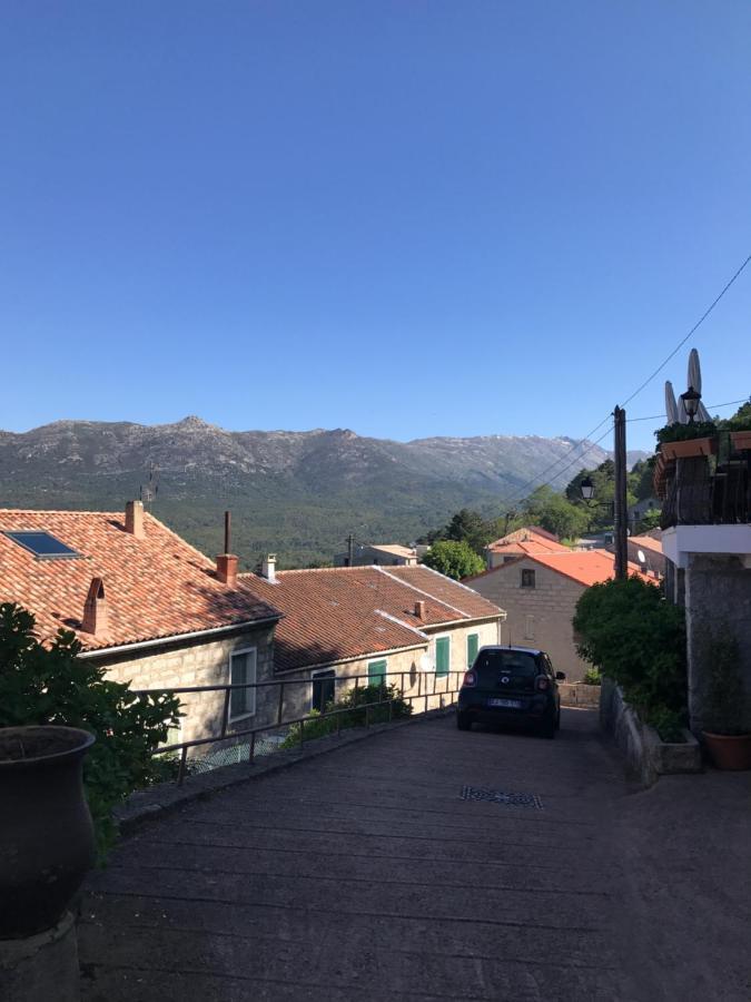 Hotel La Terrasse Zonza Εξωτερικό φωτογραφία